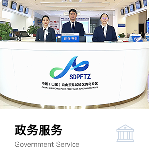 政务服务